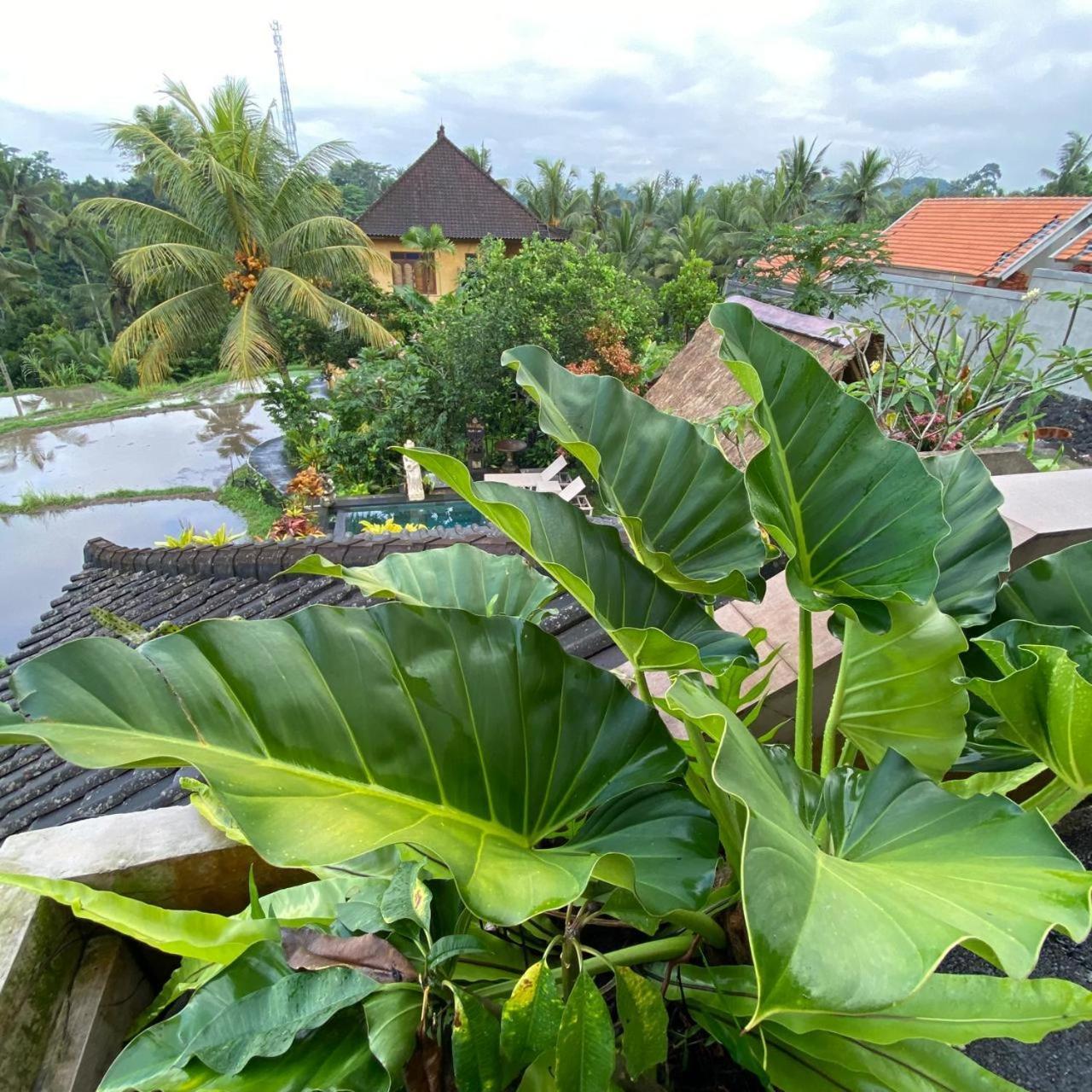 Dukuh Village Villas & Art Tegallalang  Phòng bức ảnh