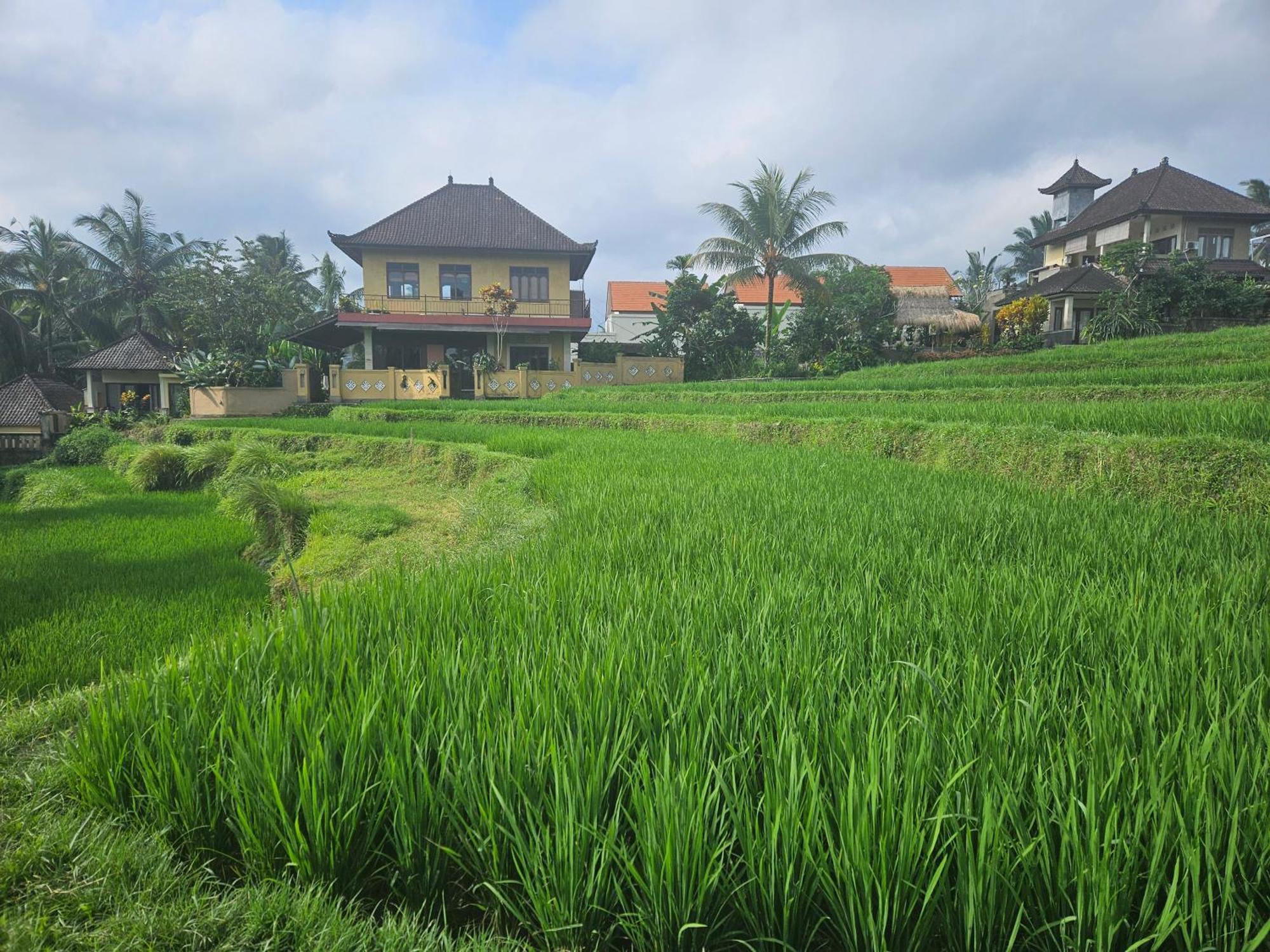 Dukuh Village Villas & Art Tegallalang  Ngoại thất bức ảnh